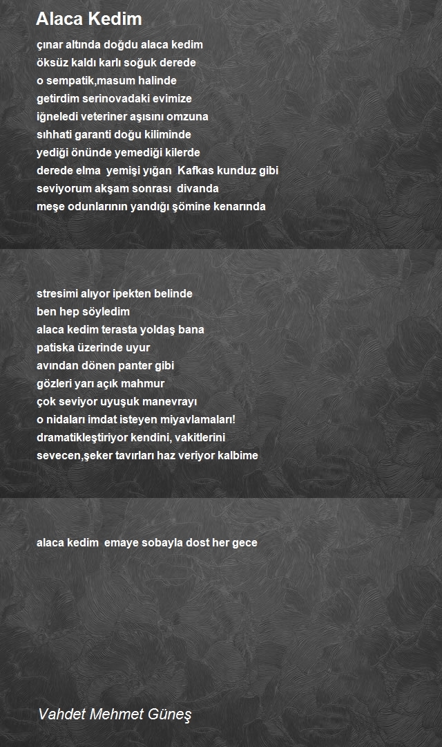 Vahdet Mehmet Güneş