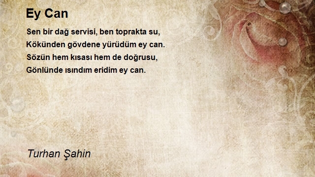 Turhan Şahin