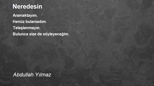Abdullah Yılmaz