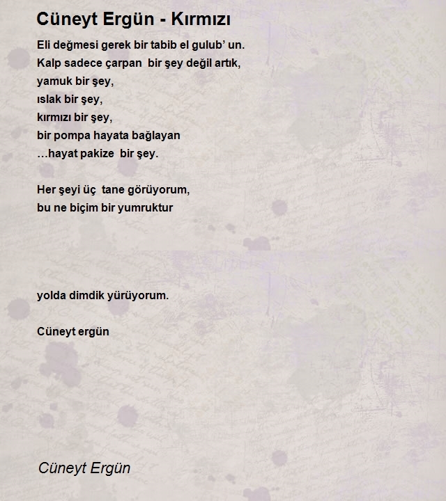 Cüneyt Ergün