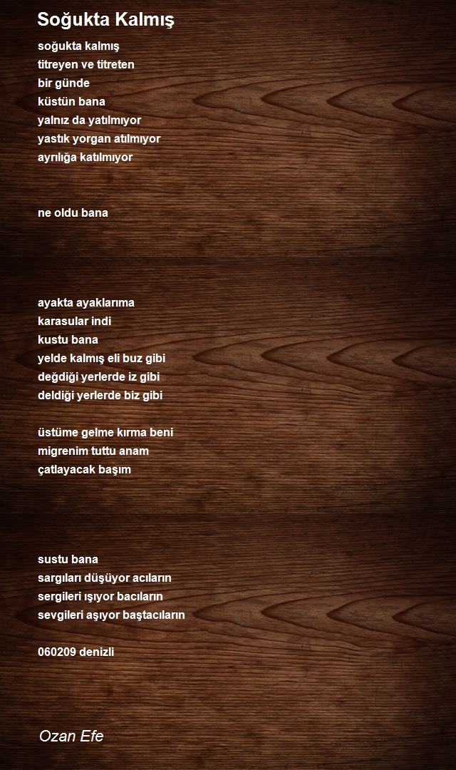 Ozan Efe