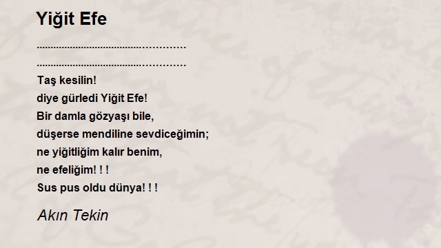 Akın Tekin