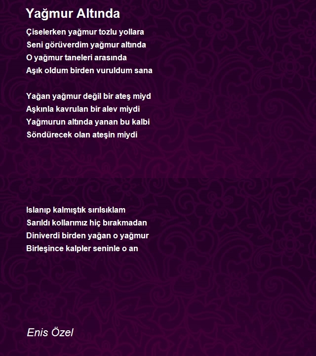 Enis Özel