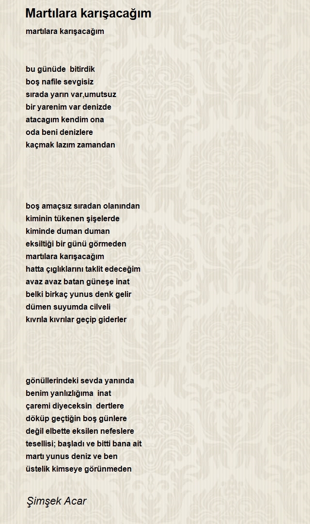 Şimşek Acar