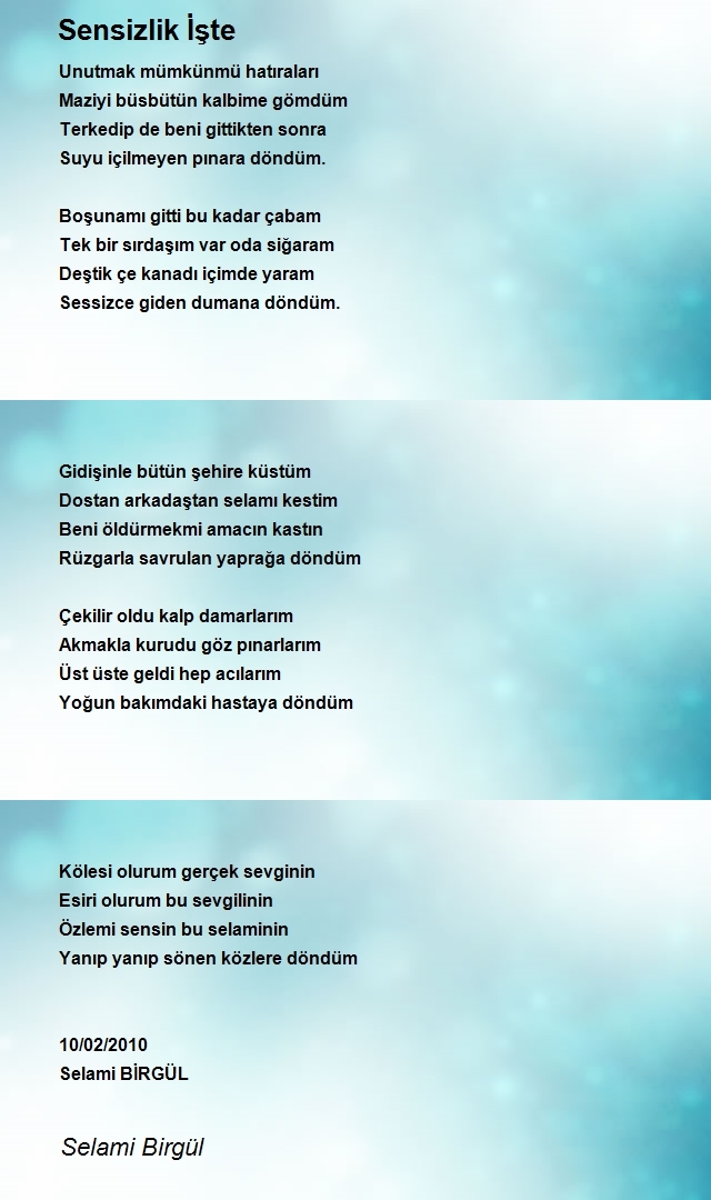 Selami Birgül
