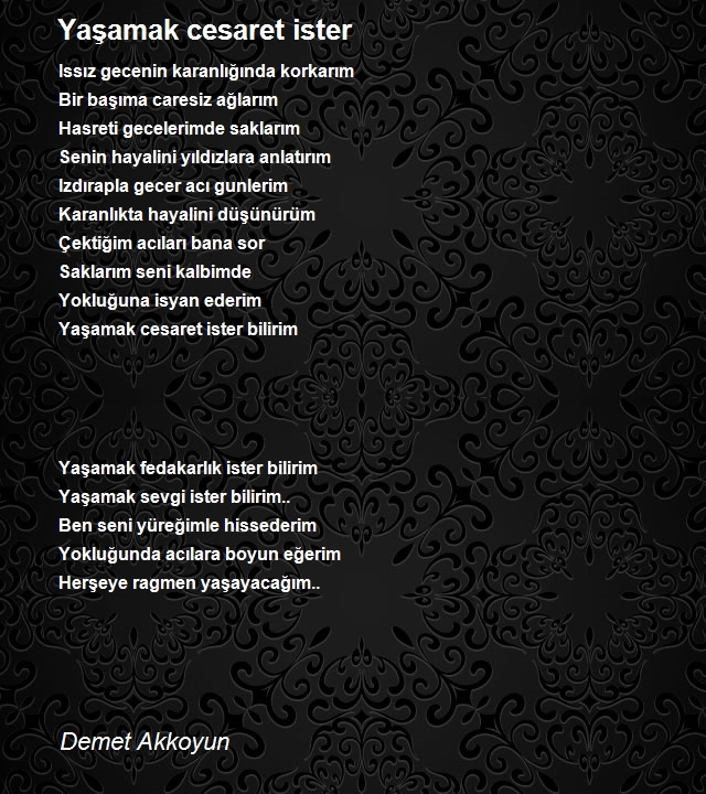 Demet Akkoyun