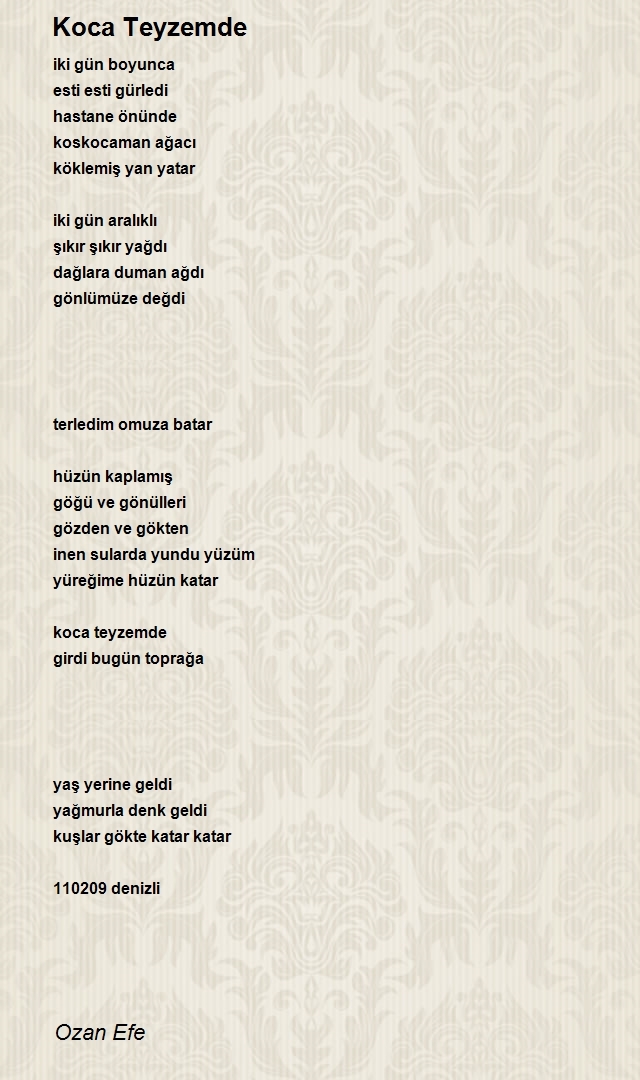 Ozan Efe