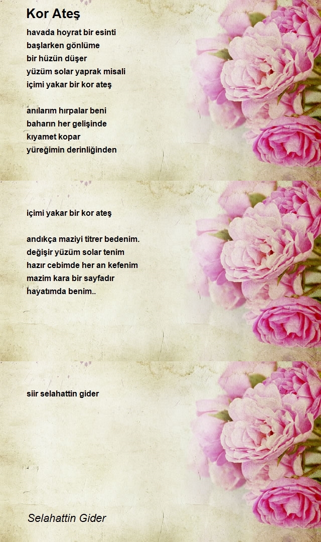 Selahattin Gider