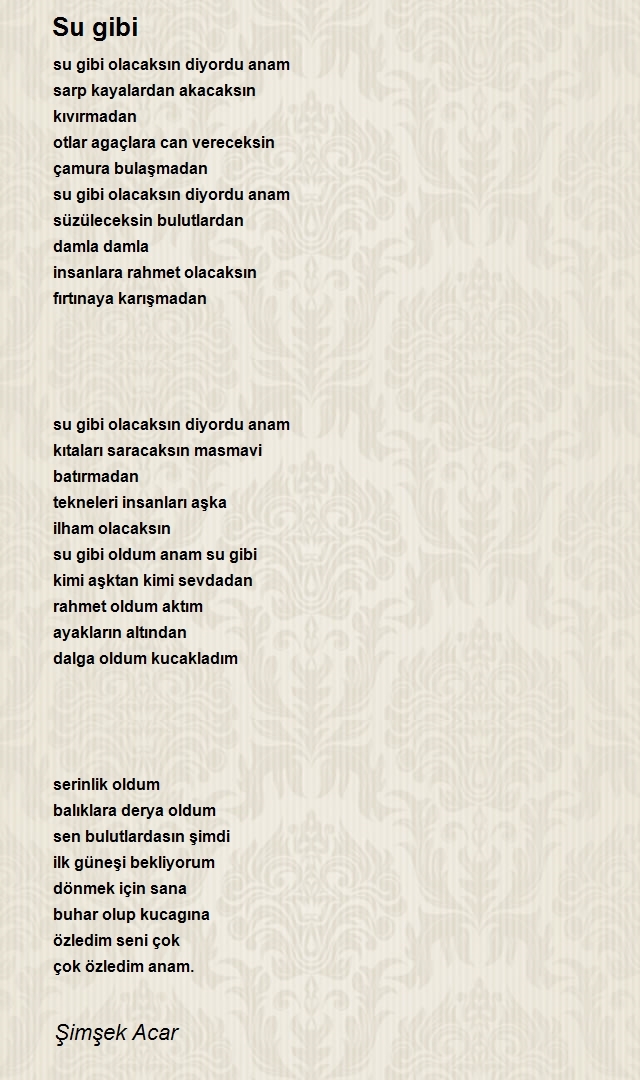 Şimşek Acar