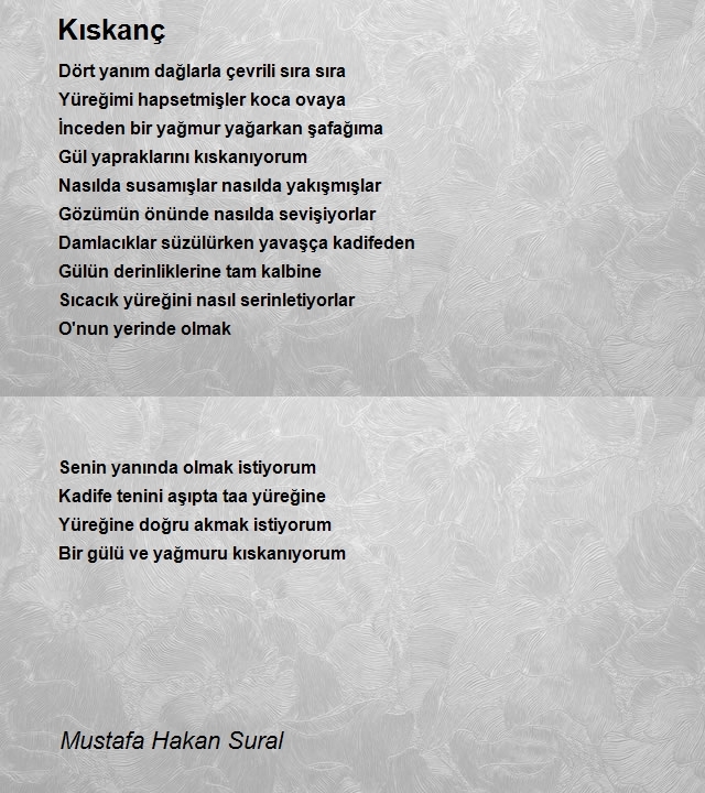 Mustafa Hakan Sural