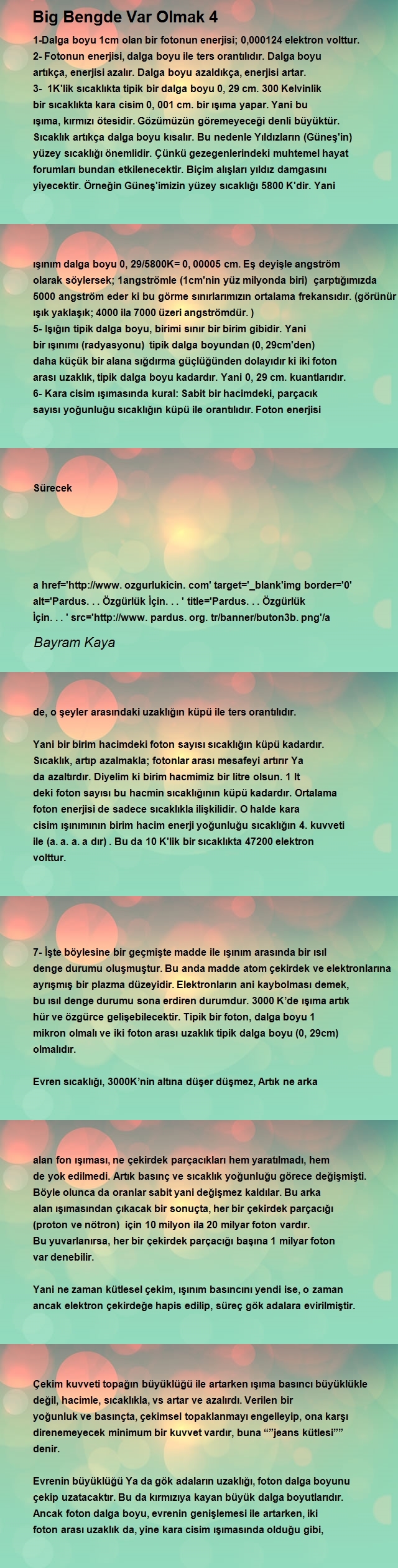 Bayram Kaya