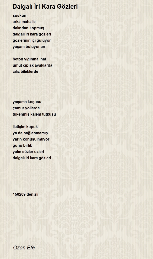 Ozan Efe