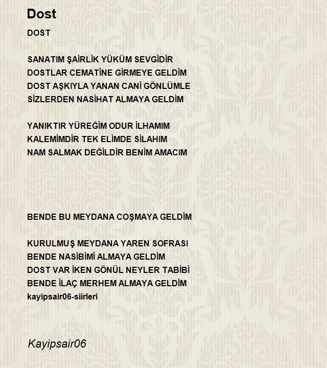Şair Kayipsair06