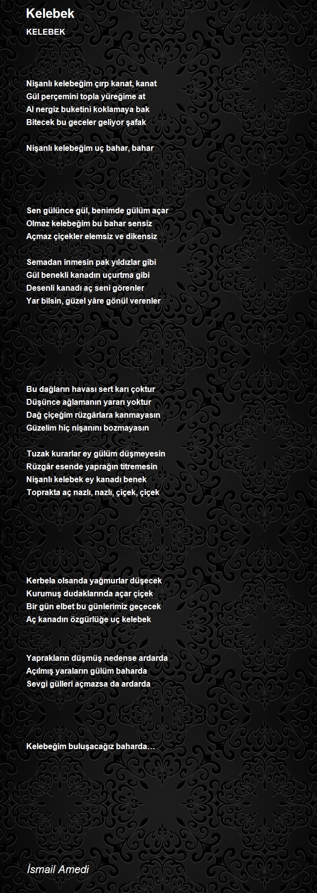 İsmail Amedi