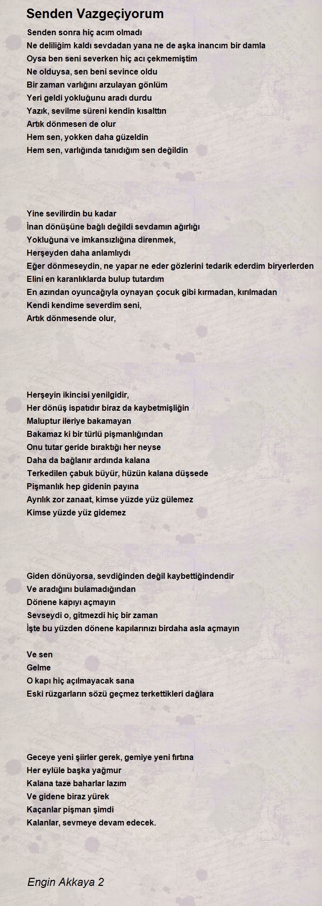 Engin Akkaya 2