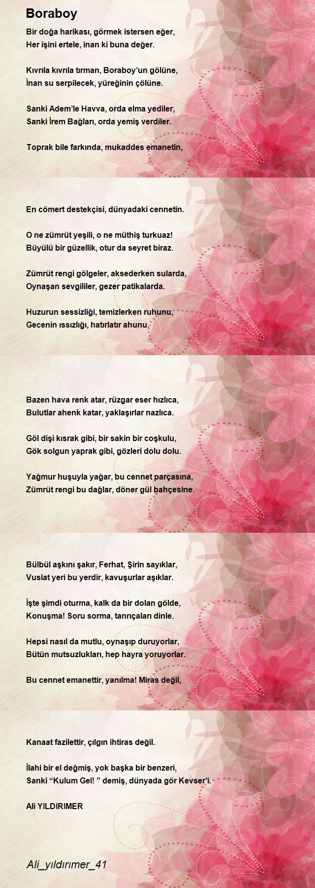 Şair Ali_yıldırımer_41