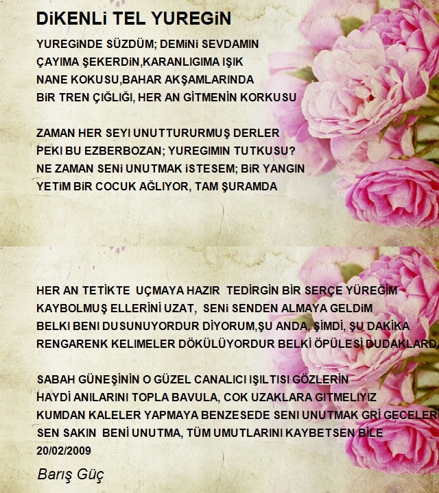 Barış Güç