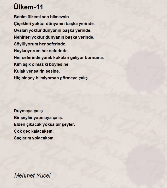Mehmet Yücel