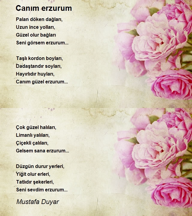 Mustafa Duyar