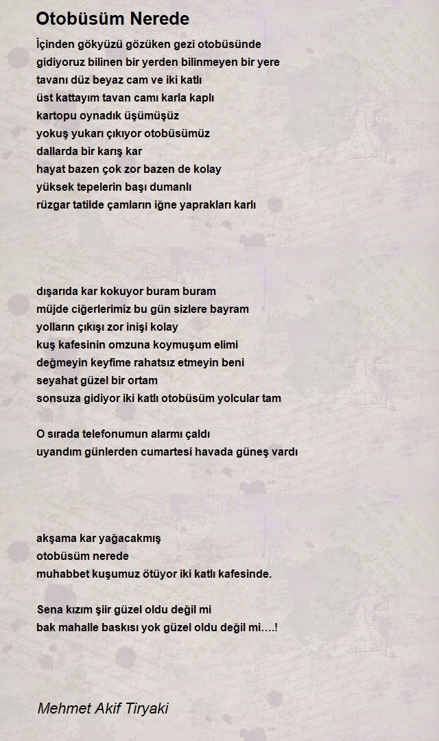 Mehmet Akif Tiryaki