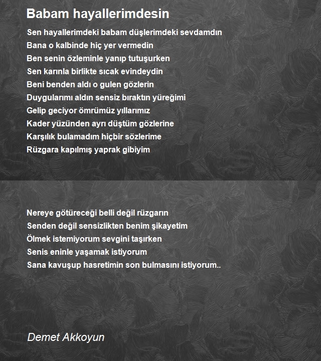 Demet Akkoyun