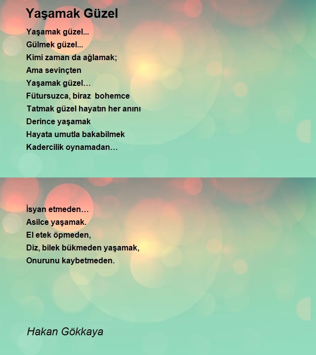 Hakan Gökkaya