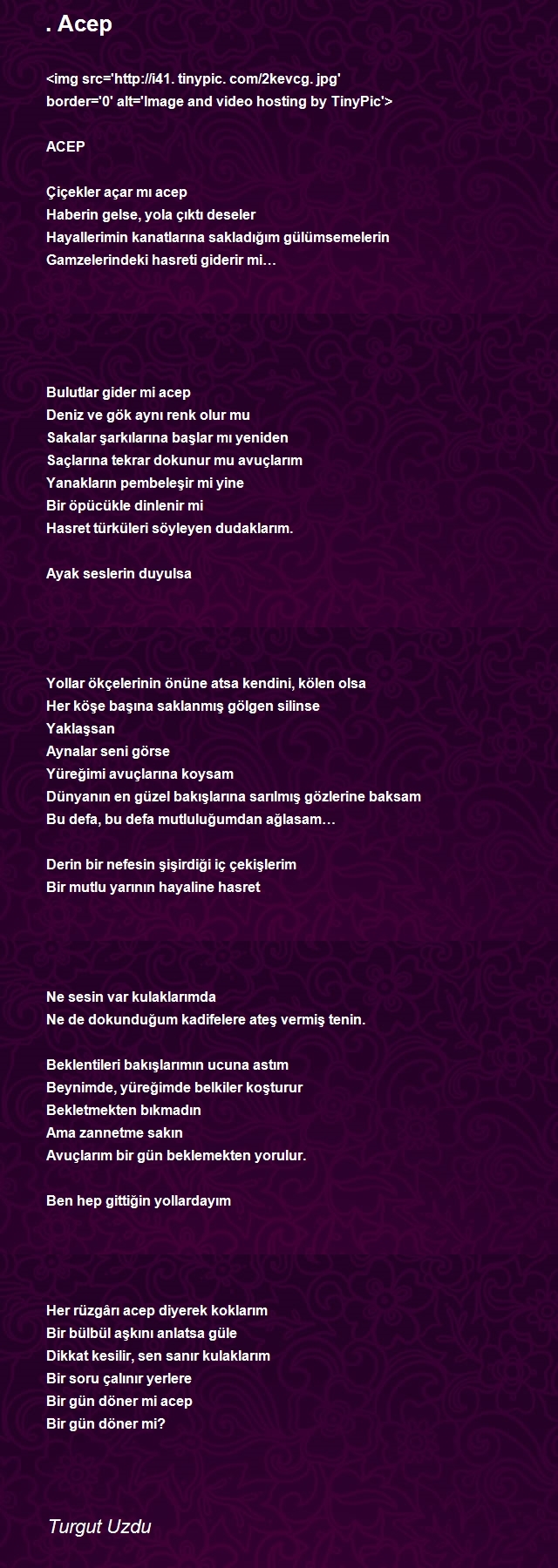 Turgut Uzdu
