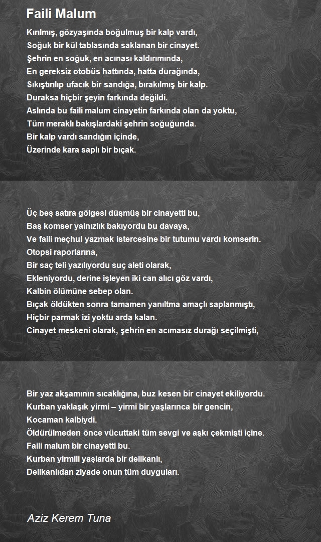 Aziz Kerem Tuna