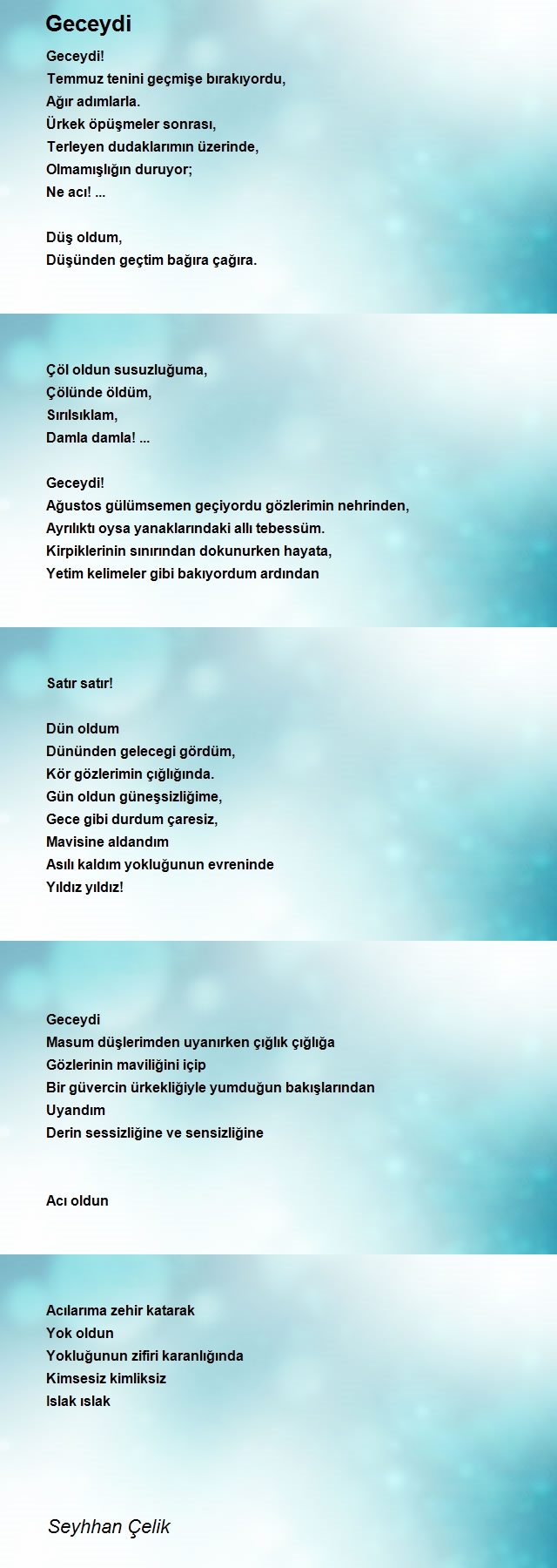 Seyhhan Çelik