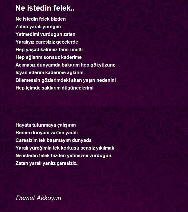 Demet Akkoyun