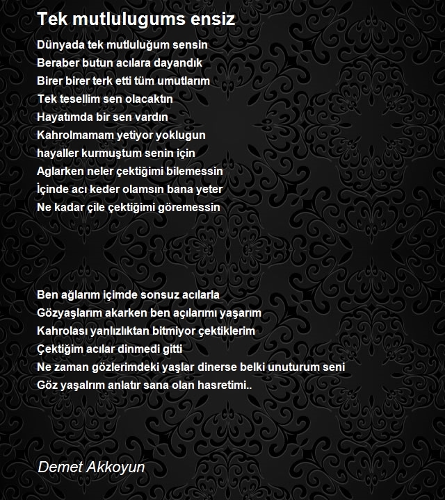 Demet Akkoyun