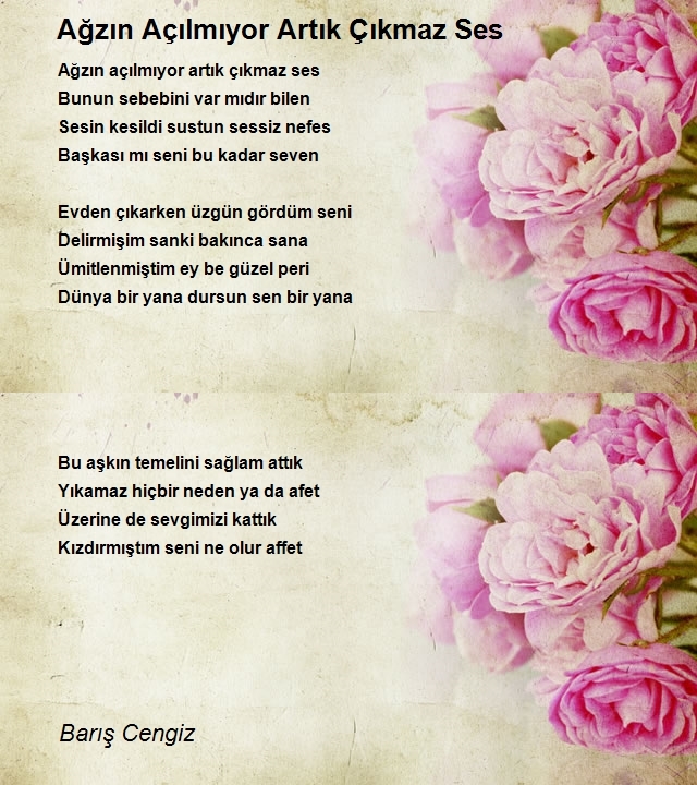 Barış Cengiz