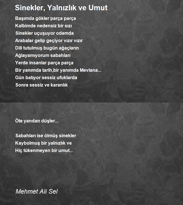 Mehmet Ali Sel