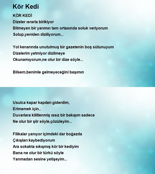 Neslihan Kösoğlu
