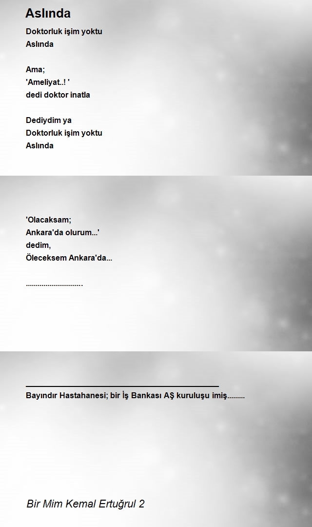 Bir Mim Kemal Ertuğrul 2