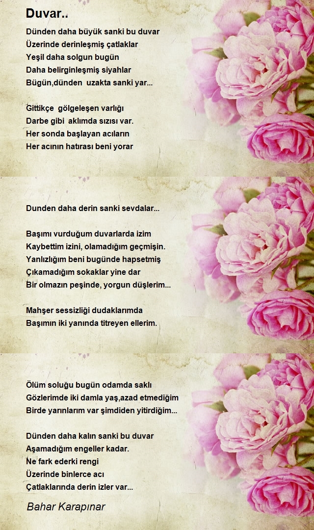 Bahar Karapınar