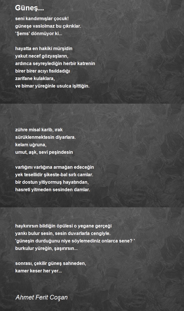 Ahmet Ferit Coşan