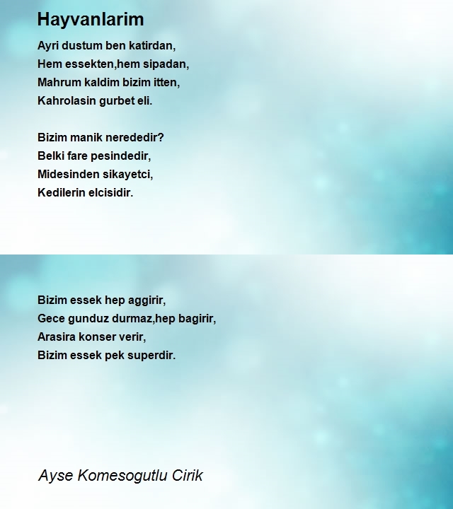 Ayse Komesogutlu Cirik