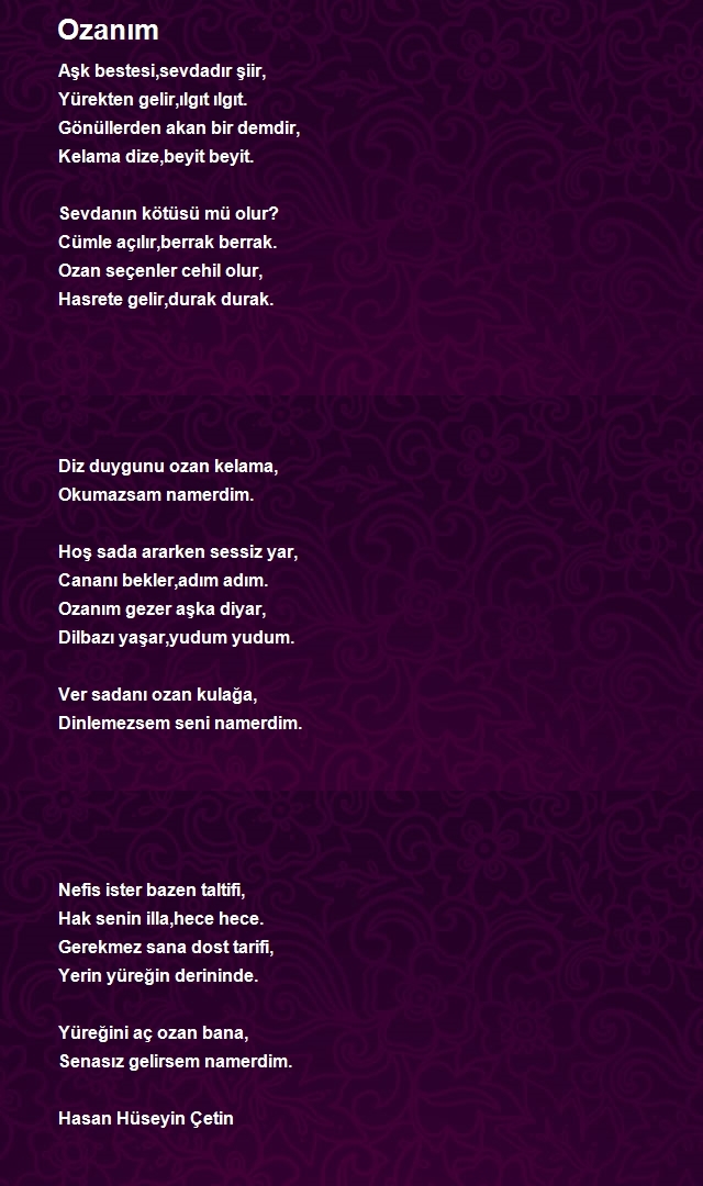 Hasan Hüseyin Çetin