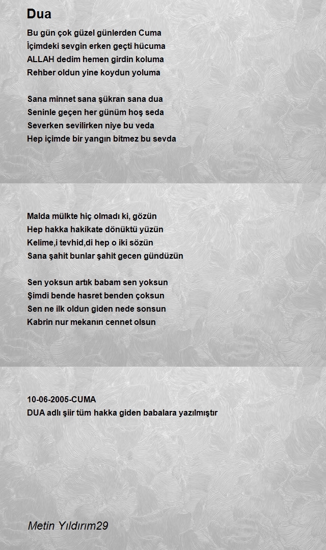 Metin Yıldırım29