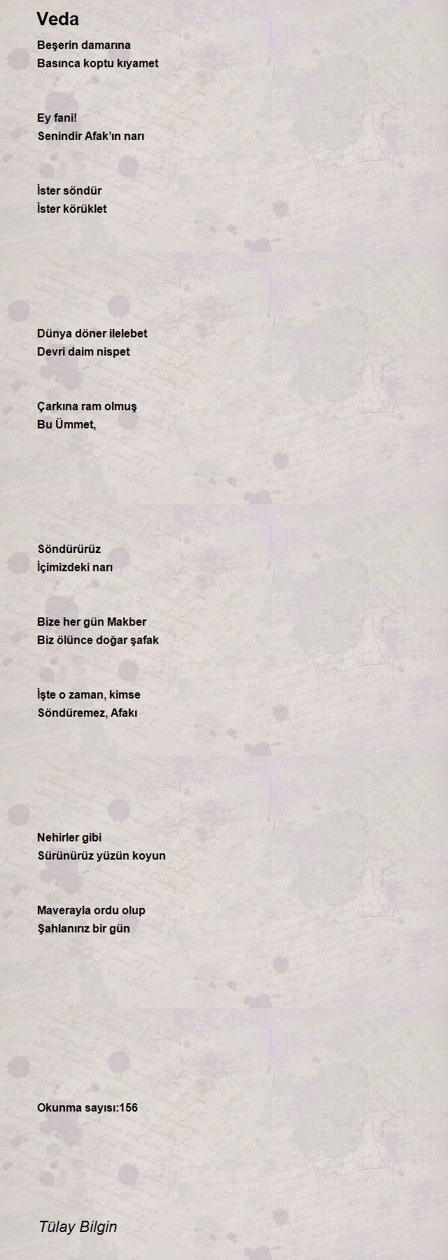 Tülay Bilgin