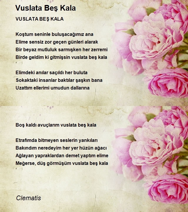 Şair Clematis