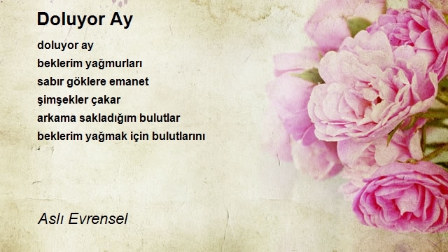 Aslı Evrensel