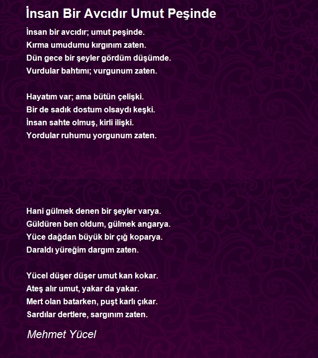 Mehmet Yücel