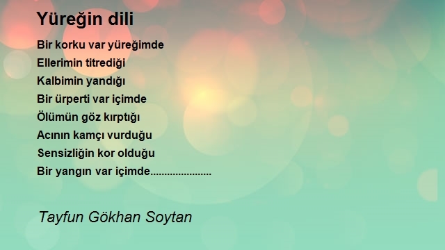 Tayfun Gökhan Soytan