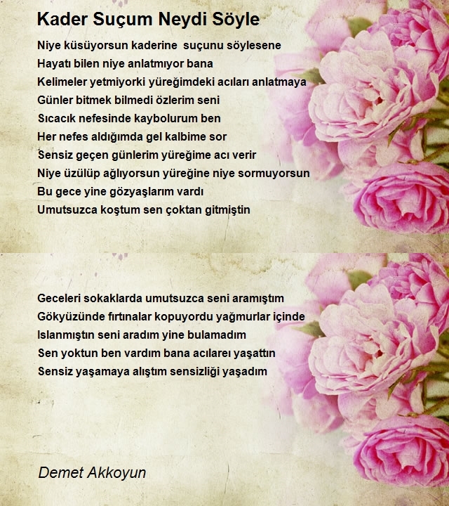 Demet Akkoyun