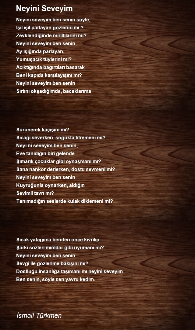 İsmail Türkmen