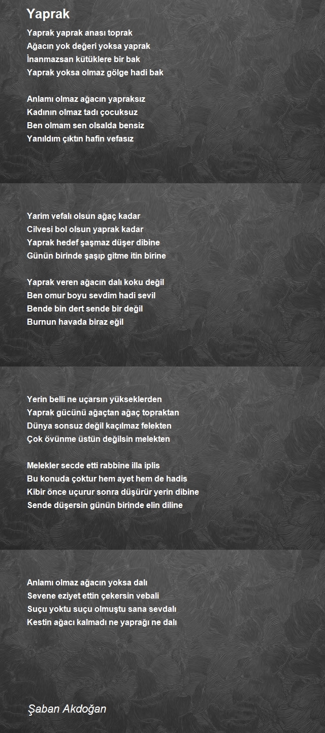 Şaban Akdoğan
