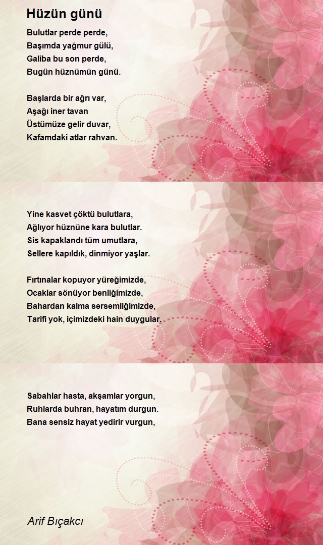 Arif Bıçakcı