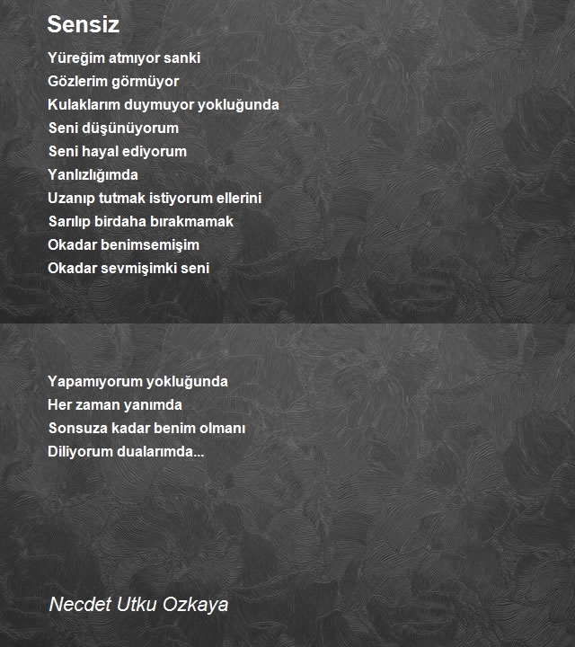 Necdet Utku Ozkaya